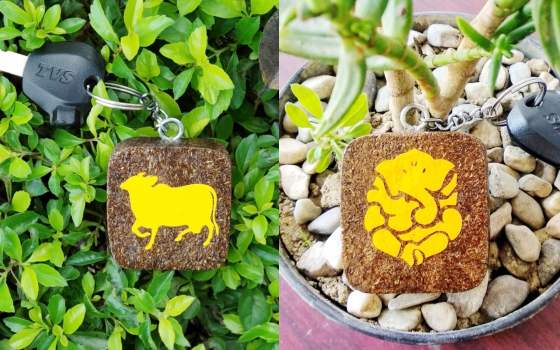 Cow Dung Products - Key Chain