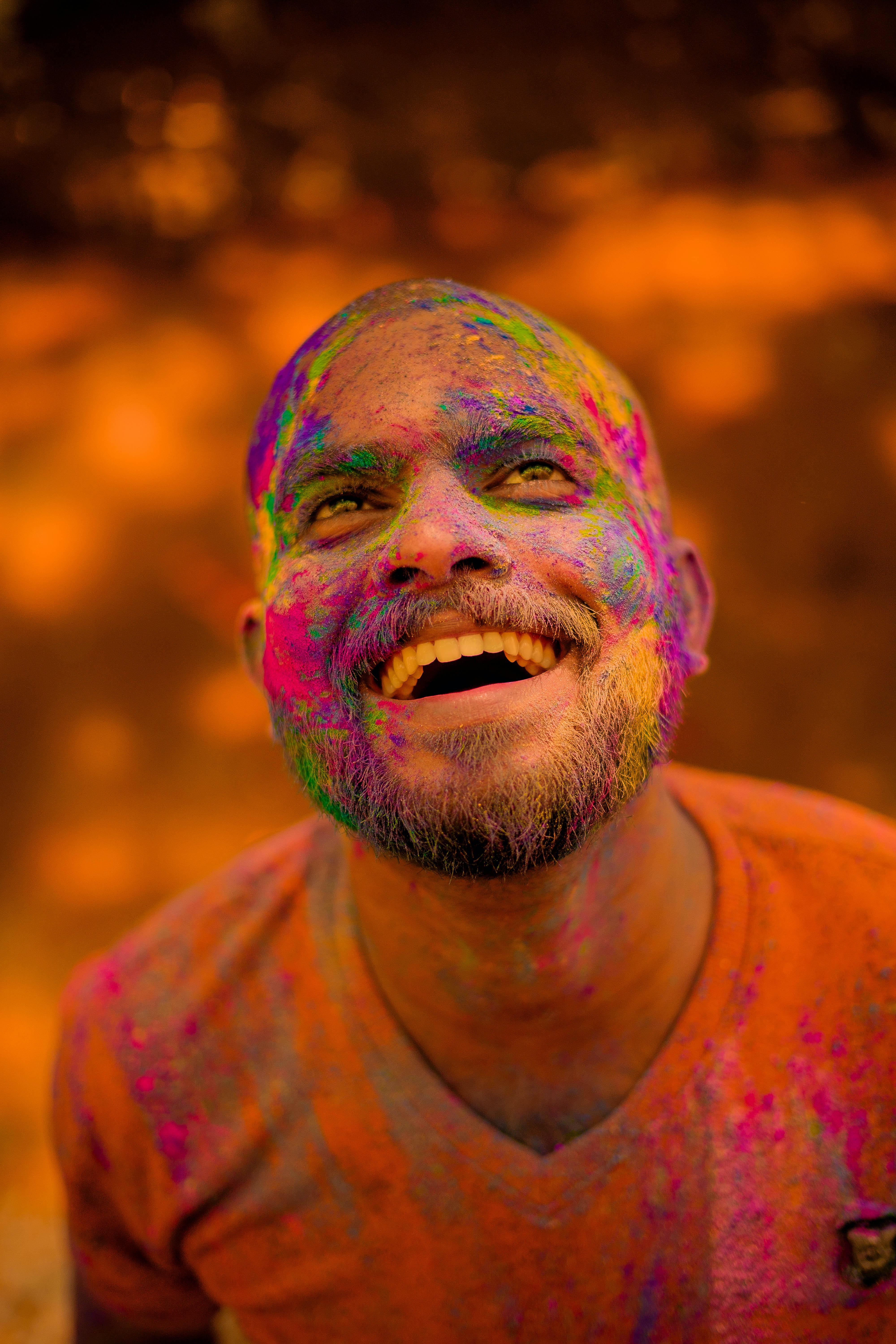 Holi Festival