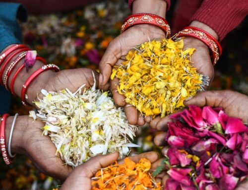 Shri Navonnati Traders: Paving the Way to a Greener Future with Flower-Based Incense Products